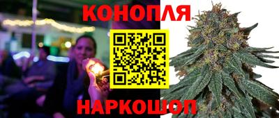крисы Донской