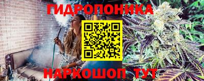 ГАЛЛЮЦИНОГЕННЫЕ ГРИБЫ Дубна