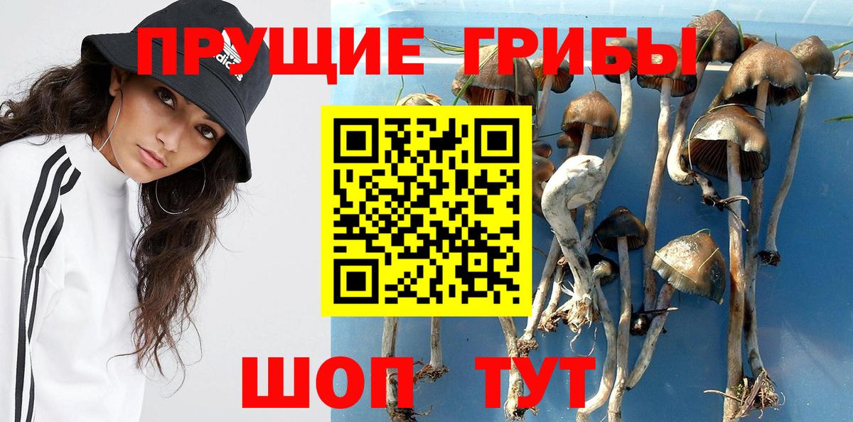 Псилоцибиновые грибы Psilocybe  Вход с VPN  Галлюциногенные грибы мицелий  Магнитогорск 