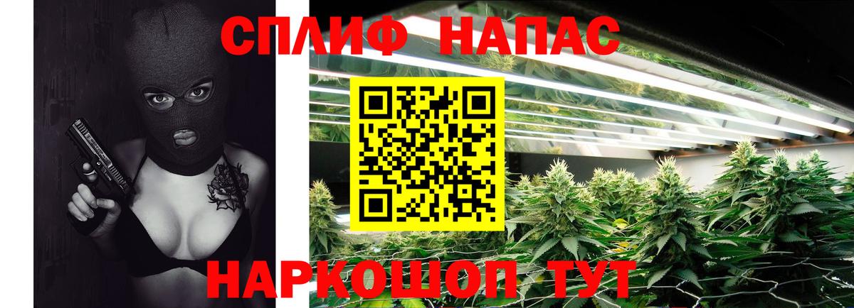 Бошки Шишки сатива  Вход с VPN  Бошки Шишки ГИДРОПОН  Каннабис сатива  Магнитогорск 
